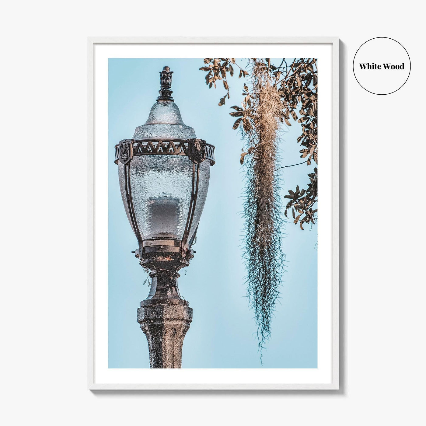 Baton Rouge Fine Art Photo Print, Louisiana, USA, Lantern, Spanish Moss, Wall Art