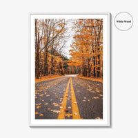 Catskill Mountains Fine Art Photo Print, Catskills, New York, Fall Foliage, Poster