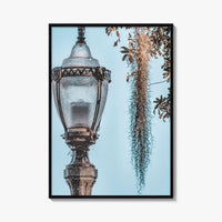Baton Rouge Fine Art Photo Print, Louisiana, USA, Lantern, Spanish Moss, Wall Art