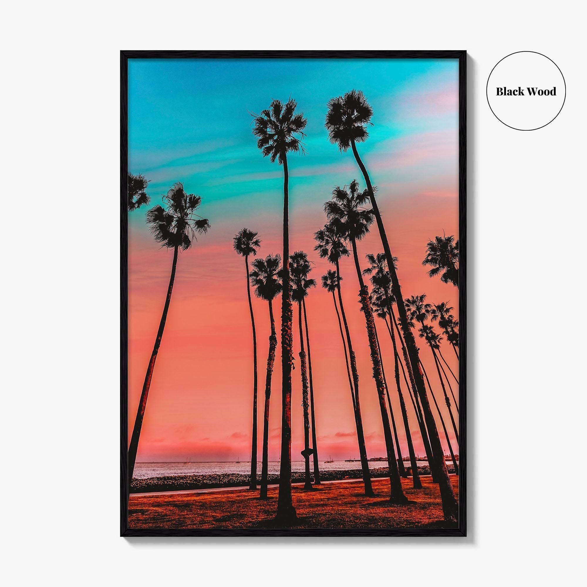 Santa Barbara Fine Art Photo Print, California Wall Decor Poster, USA Palm Trees