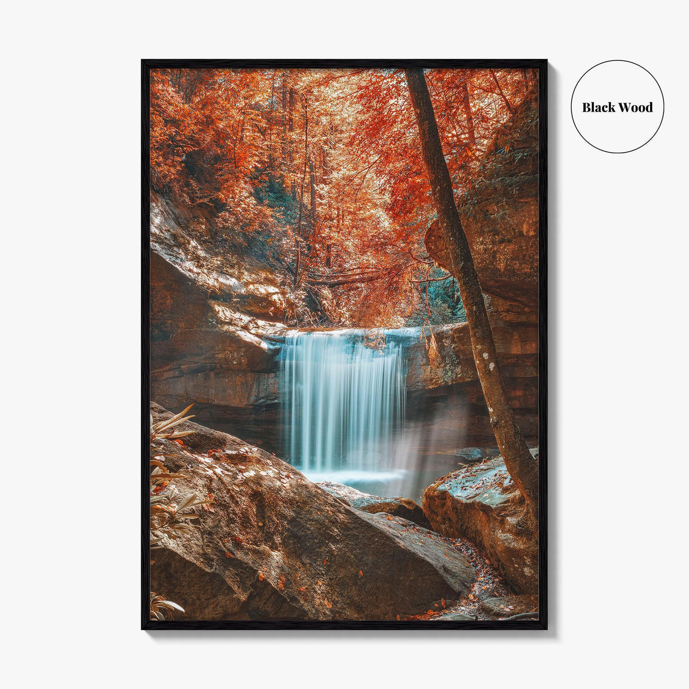 Dog Slaughter Falls Fine Art Photo Print, Daniel Boone National Forest, Kentucky, Waterfall Poster