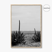 West Texas Black and White Fine Art Photo Print, Agave Chihuahuan Desert Poster