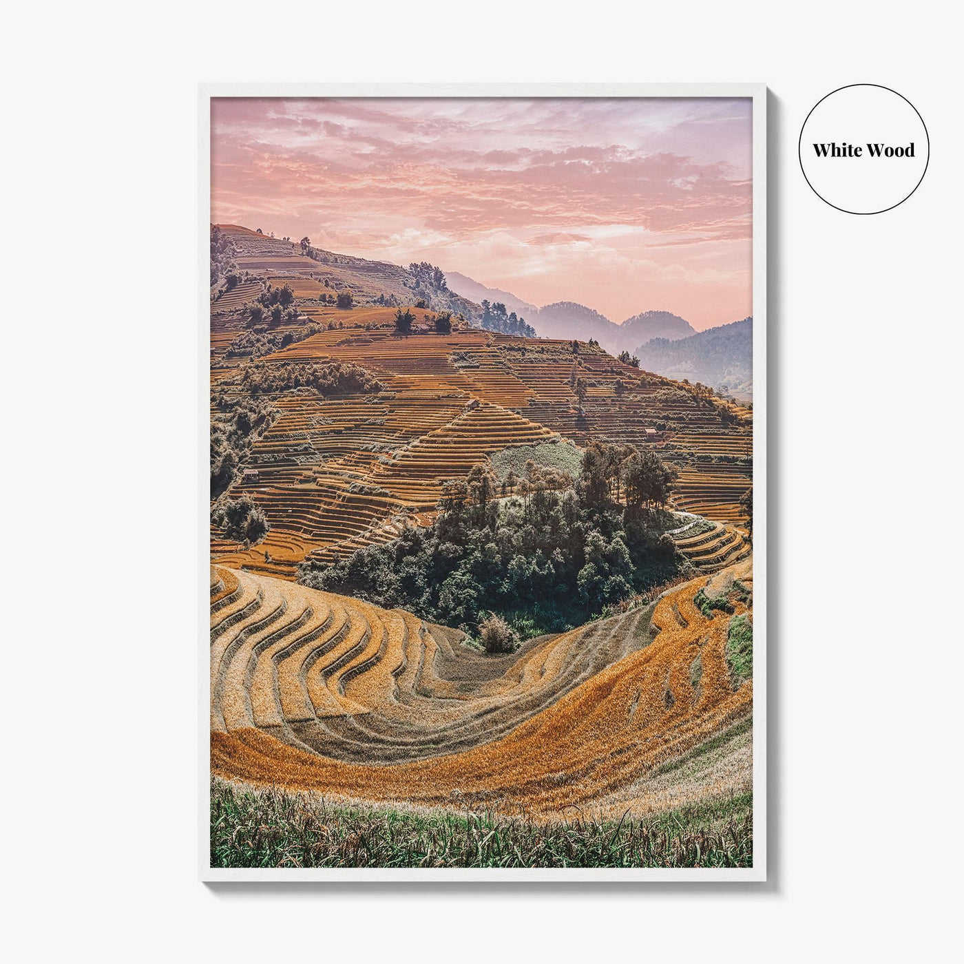 Mu Cang Chai Fine Art Photo Print, Yen Bai Vietnam Rice Terraces Wall Poster
