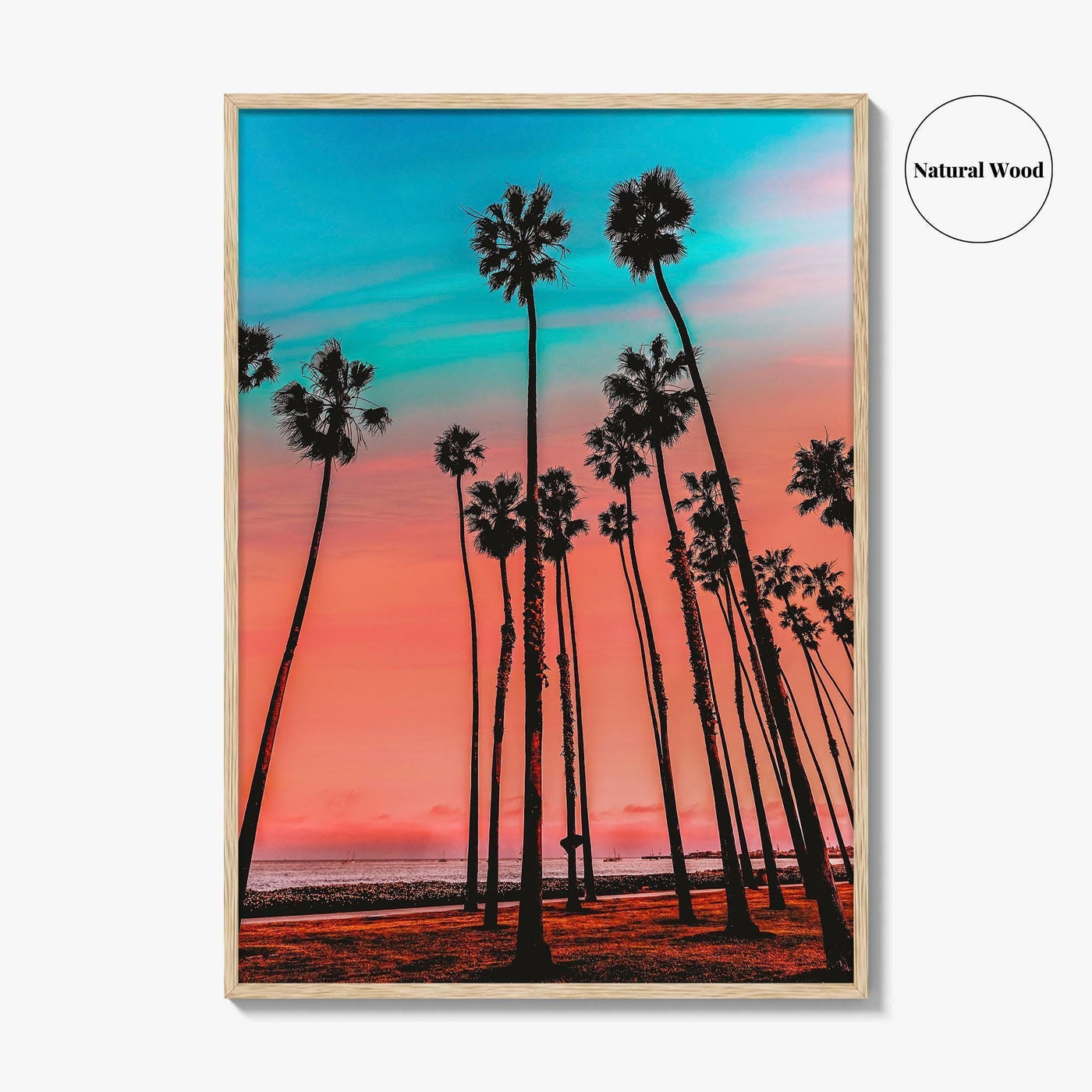 Santa Barbara Fine Art Photo Print, California Wall Decor Poster, USA Palm Trees