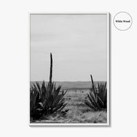 West Texas Black and White Fine Art Photo Print, Agave Chihuahuan Desert Poster