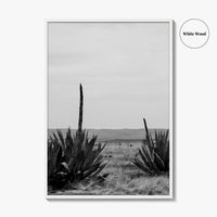 West Texas Black and White Fine Art Photo Print, Agave Chihuahuan Desert Poster