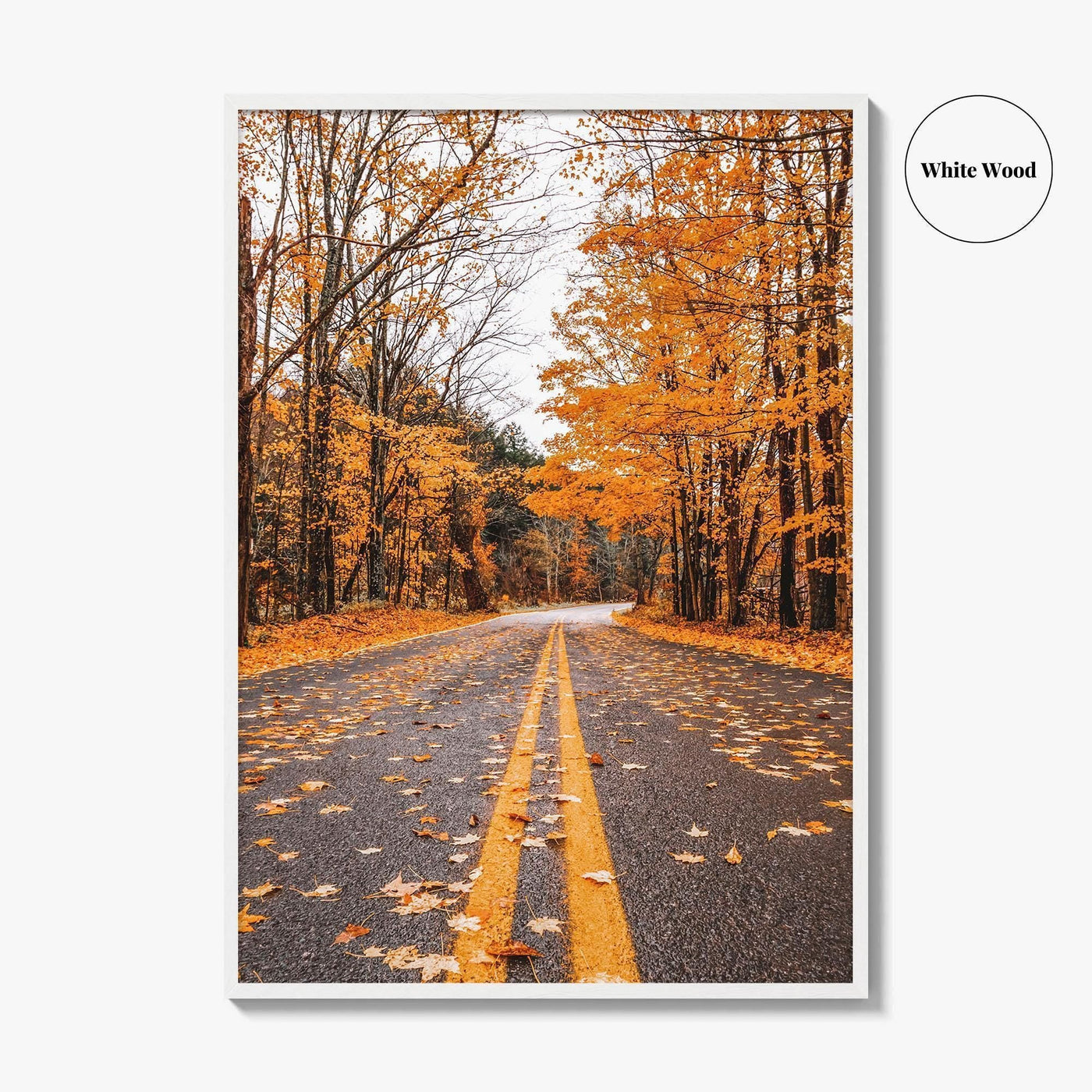 Catskill Mountains Fine Art Photo Print, Catskills, New York, Fall Foliage, Poster
