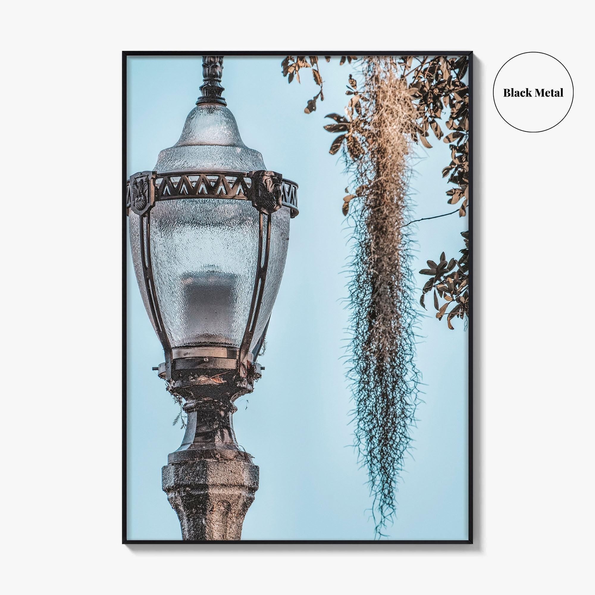 Baton Rouge Fine Art Photo Print, Louisiana, USA, Lantern, Spanish Moss, Wall Art