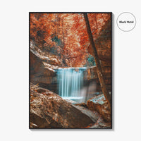 Dog Slaughter Falls Fine Art Photo Print, Daniel Boone National Forest, Kentucky, Waterfall Poster