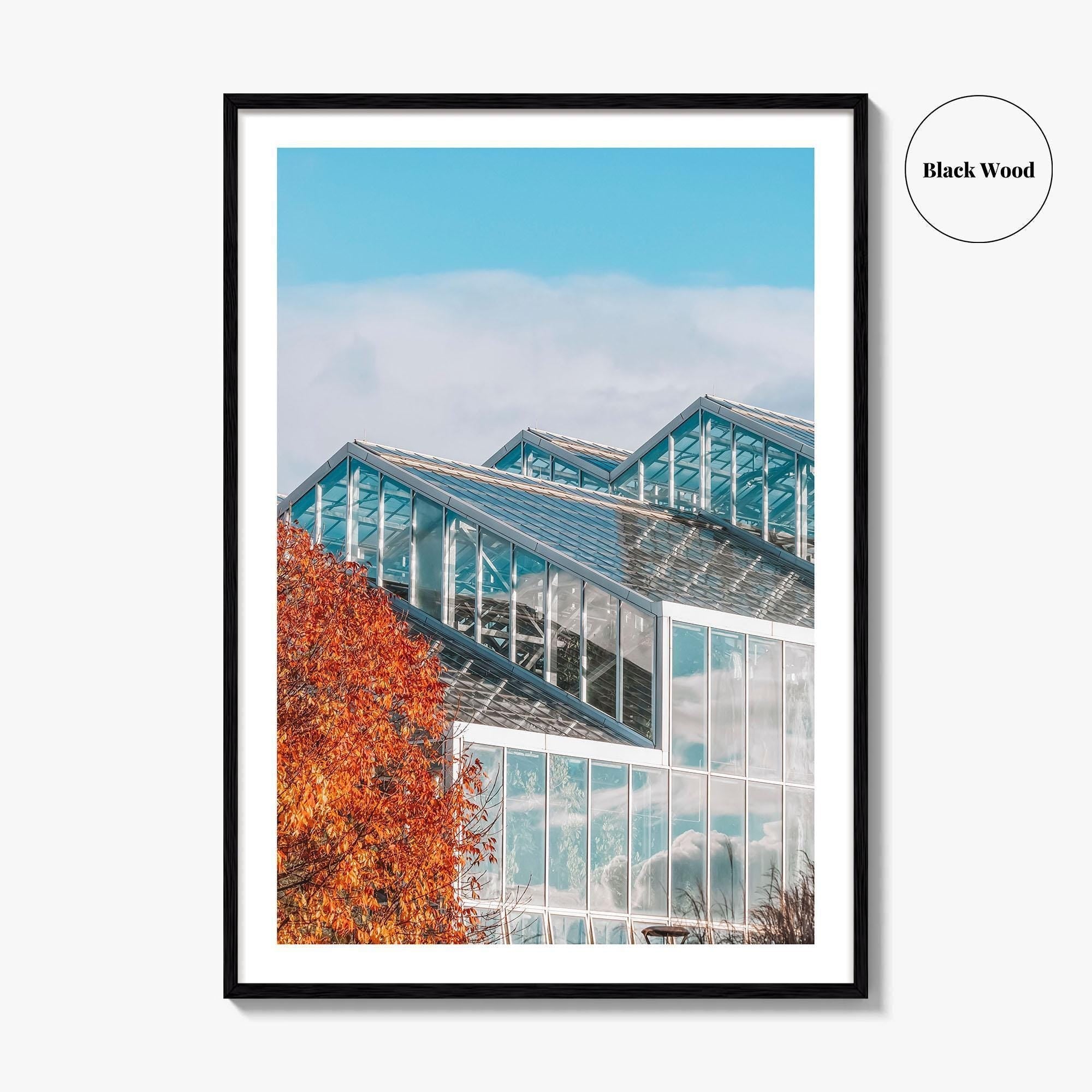 Grand Rapids Fine Art Photo Print, Frederik Meijer Gardens Greenhouse, Michigan, Wall Art