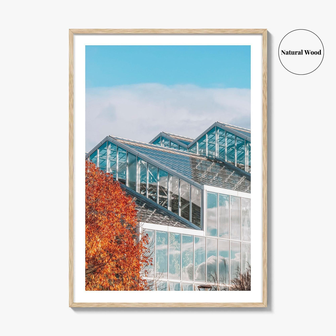 Grand Rapids Fine Art Photo Print, Frederik Meijer Gardens Greenhouse, Michigan, Wall Art