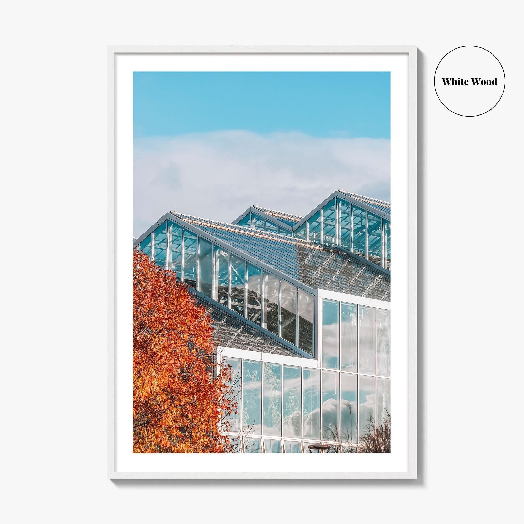 Grand Rapids Fine Art Photo Print, Frederik Meijer Gardens Greenhouse, Michigan, Wall Art