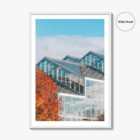 Grand Rapids Fine Art Photo Print, Frederik Meijer Gardens Greenhouse, Michigan, Wall Art