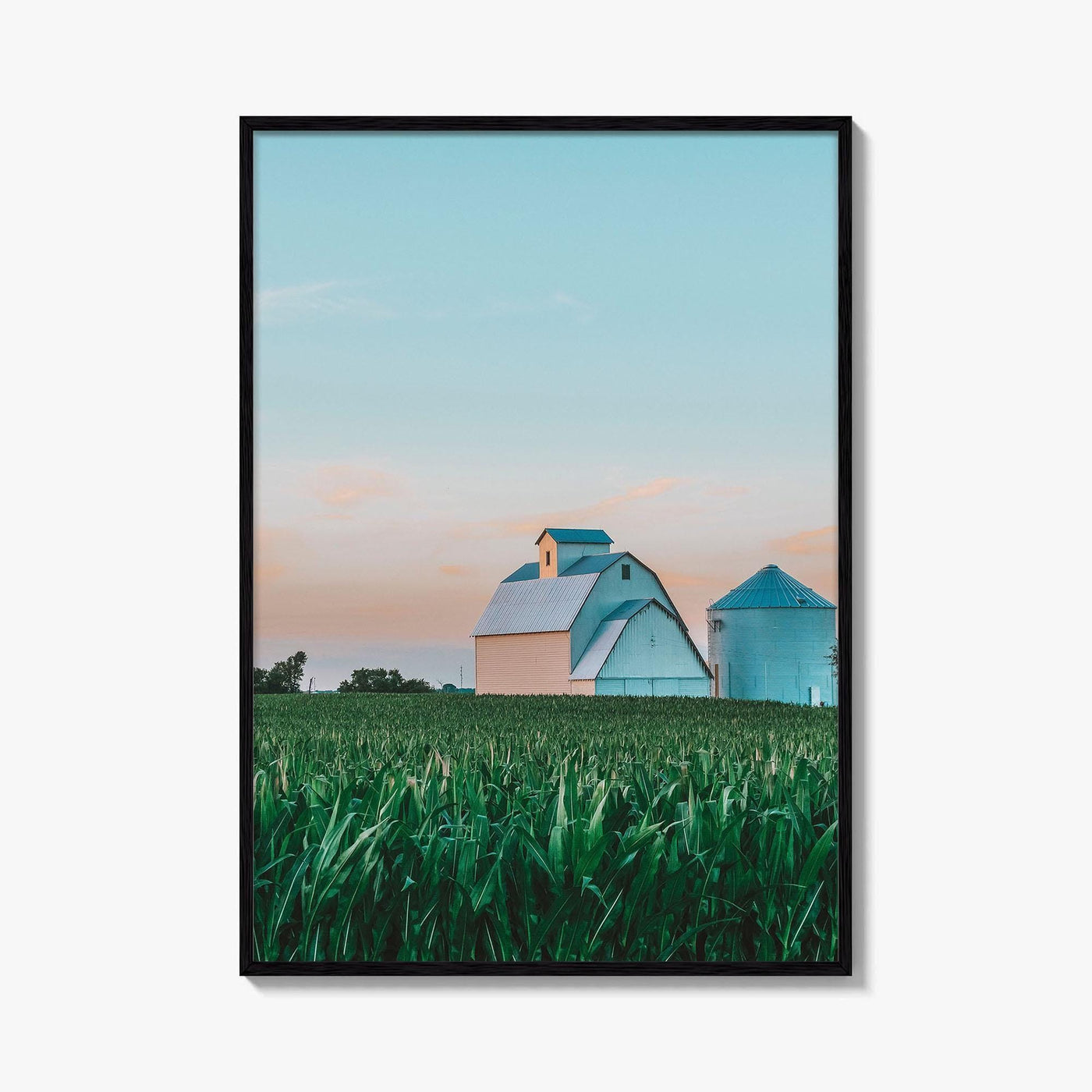 LaSalle County Illinois Fine Art Photo Print, Barn Cornfield Wall Decor Poster, USA