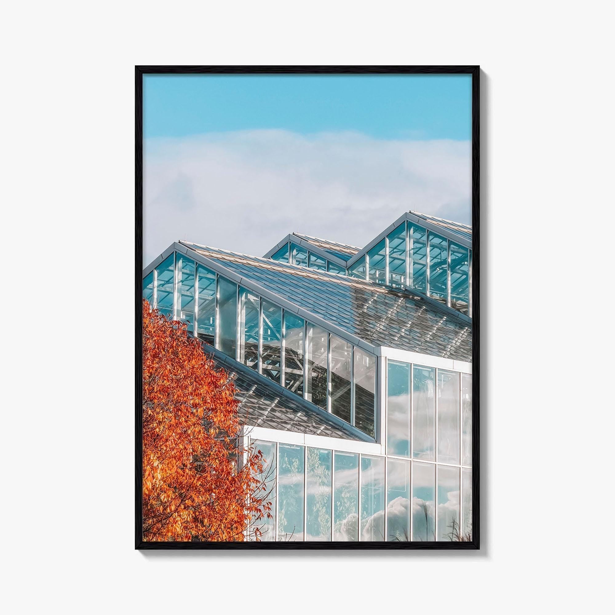 Grand Rapids Fine Art Photo Print, Frederik Meijer Gardens Greenhouse, Michigan, Wall Art