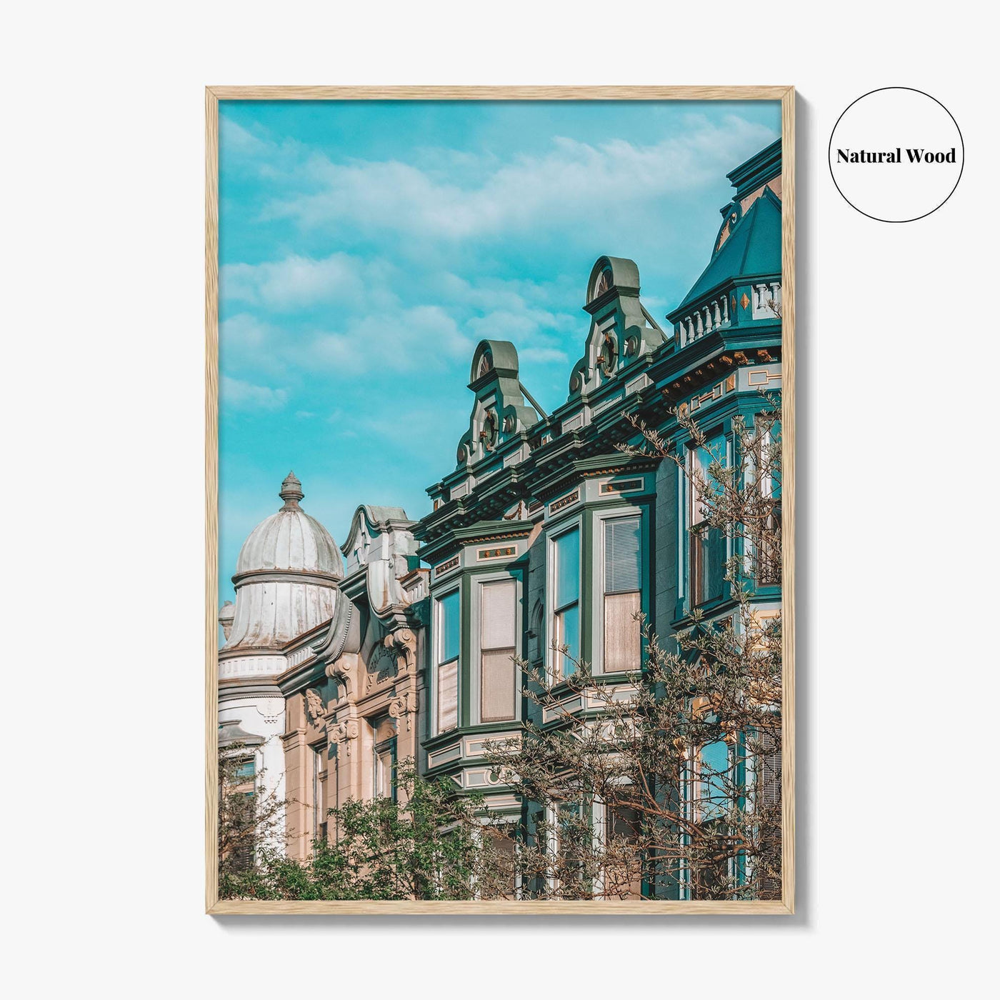 Lincoln Park Fine Art Photo Print, Chicago Illinois, Armitage Avenue Architecture, Wall Poster