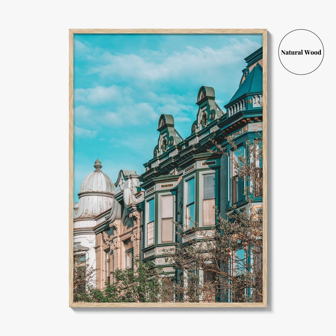 Lincoln Park Fine Art Photo Print, Chicago Illinois, Armitage Avenue Architecture, Wall Poster