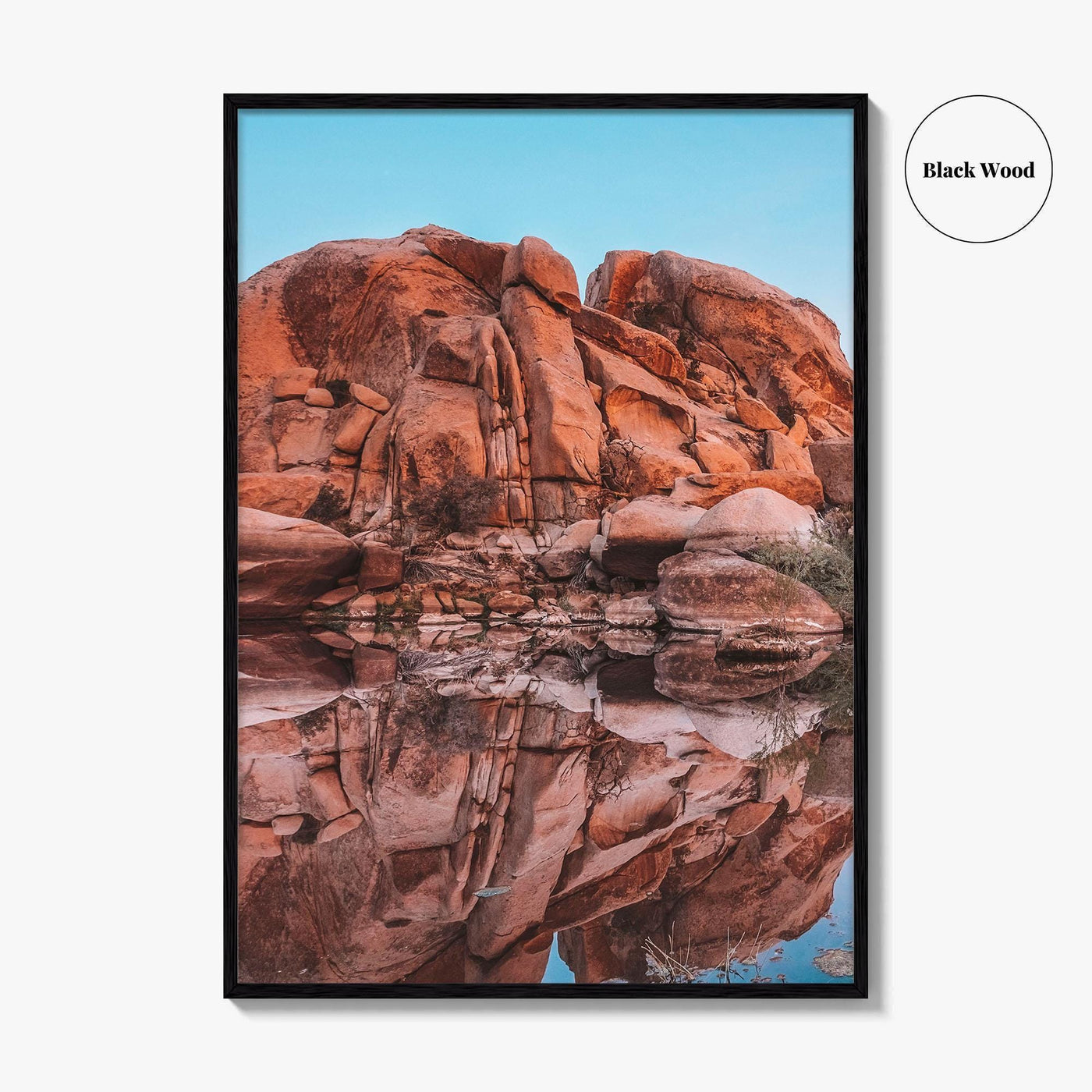 Joshua Tree National Park Fine Art Photo Print, Barker Dam, California Poster