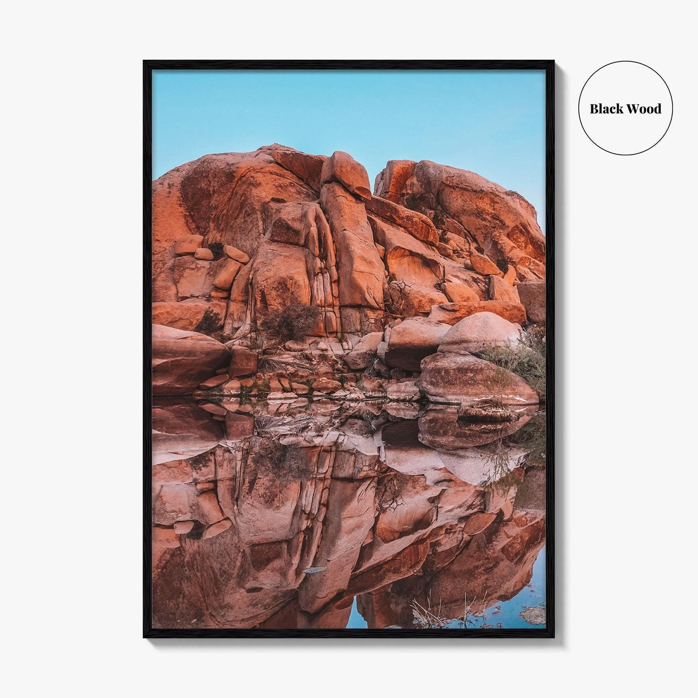 Joshua Tree National Park Fine Art Photo Print, Barker Dam, California Poster