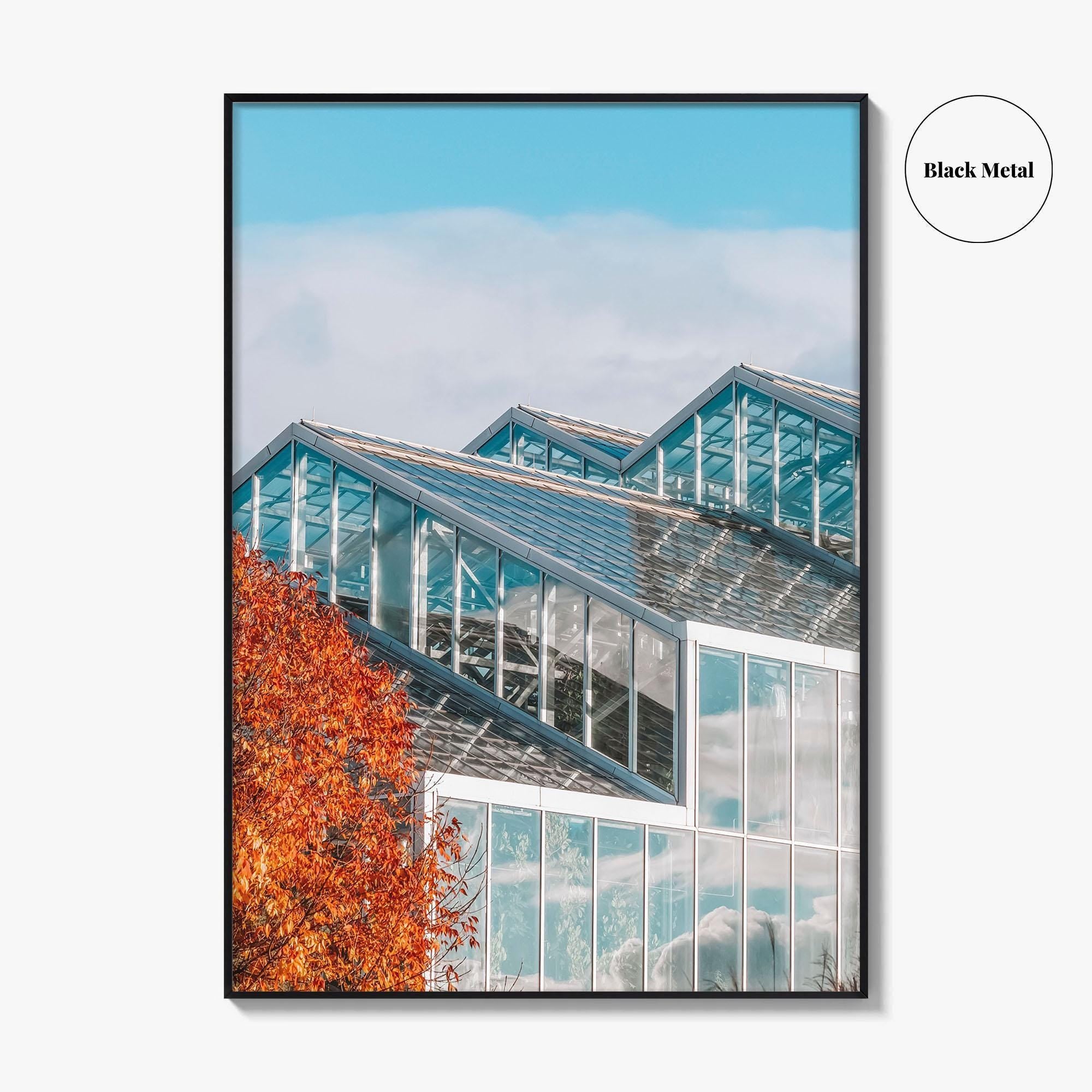 Grand Rapids Fine Art Photo Print, Frederik Meijer Gardens Greenhouse, Michigan, Wall Art