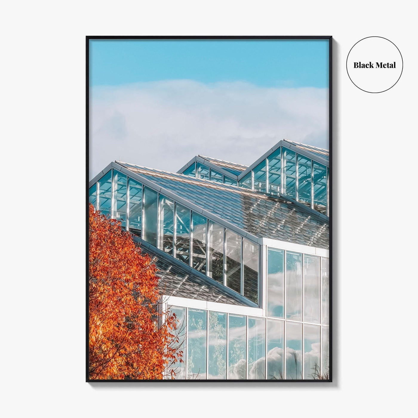 Grand Rapids Fine Art Photo Print, Frederik Meijer Gardens Greenhouse, Michigan, Wall Art