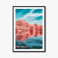 Minnesota Valley National Wildlife Refuge Fine Art Photo Print, Marsh Lake Infrared Poster