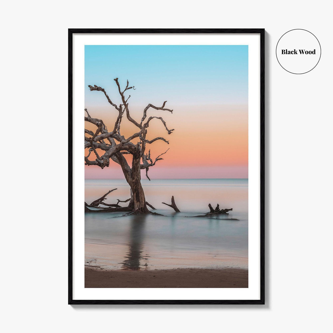 Jekyll Island Fine Art Photo Print, Driftwood Beach Georgia, Wall Poster, Coastal, USA