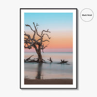 Jekyll Island Fine Art Photo Print, Driftwood Beach Georgia, Wall Poster, Coastal, USA