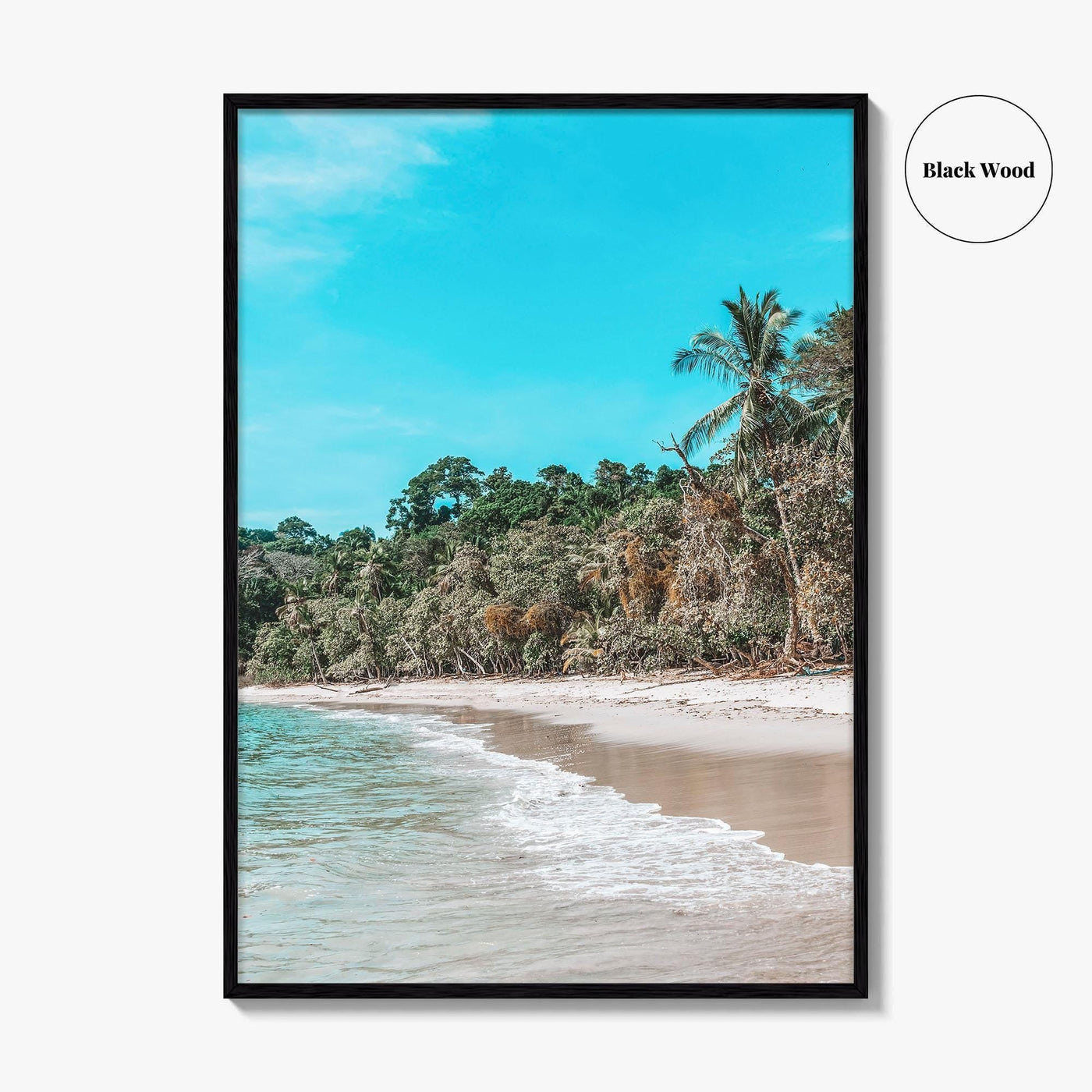 Manuel Antonio Fine Art Photo Print, Costa Rica Quepos Poster