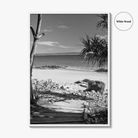 Noosa Heads Black and White Fine Art Photo Print, Sunshine Coast Australia Poster