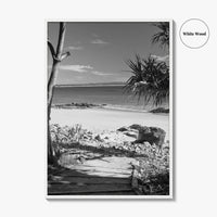Noosa Heads Black and White Fine Art Photo Print, Sunshine Coast Australia Poster