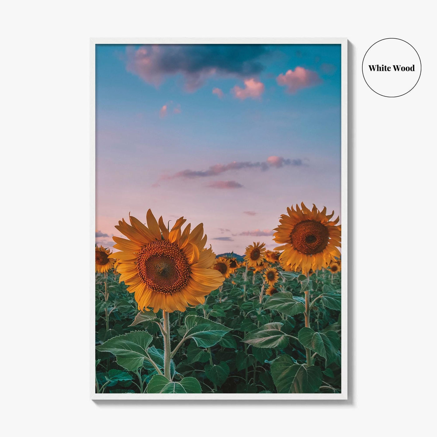 Kansas Fine Art Photo Print, Sunflower Field Landscape, Midwest USA Wall Poster