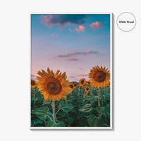 Kansas Fine Art Photo Print, Sunflower Field Landscape, Midwest USA Wall Poster