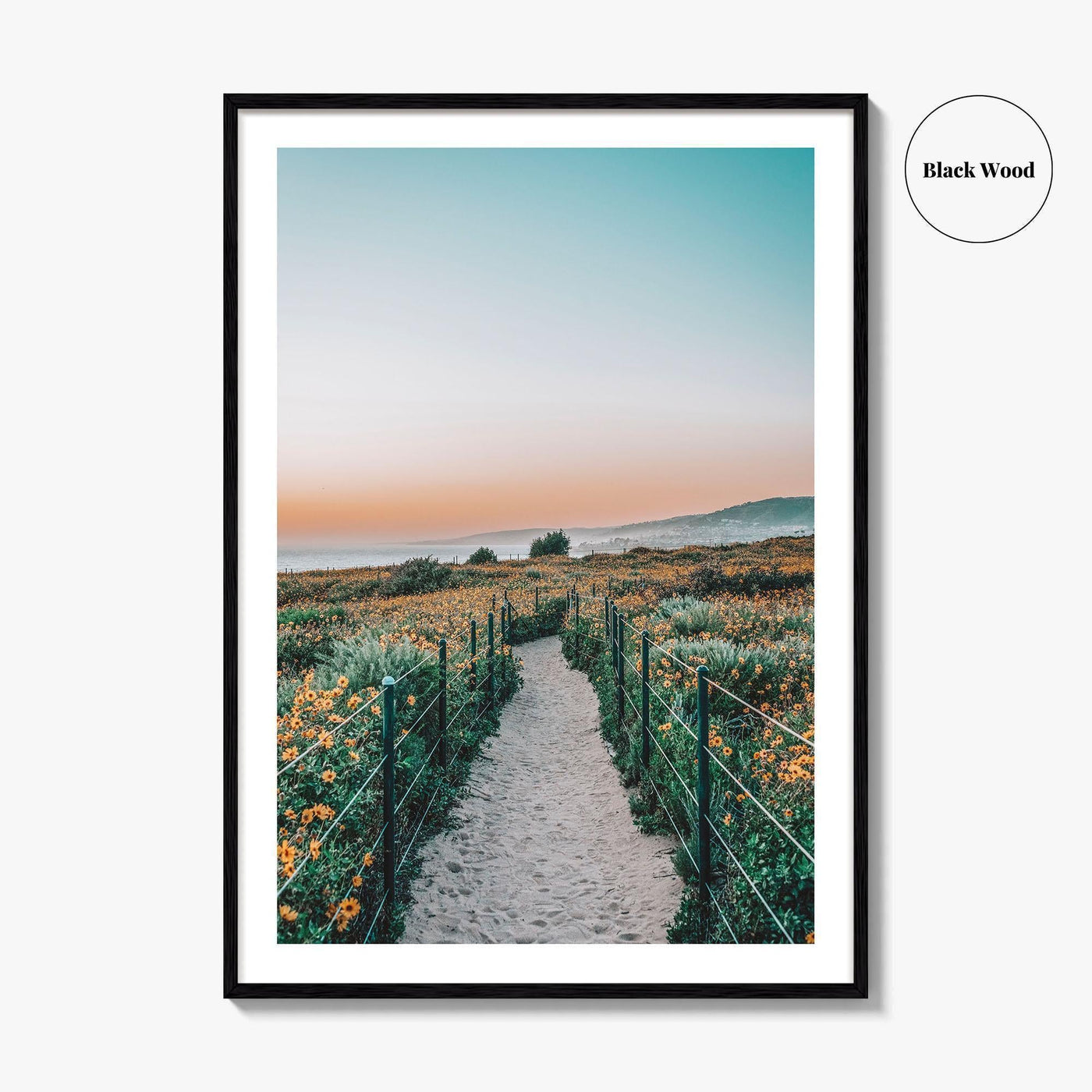 Dana Point Fine Art Photo Print, California Headlands, Orange County Poster