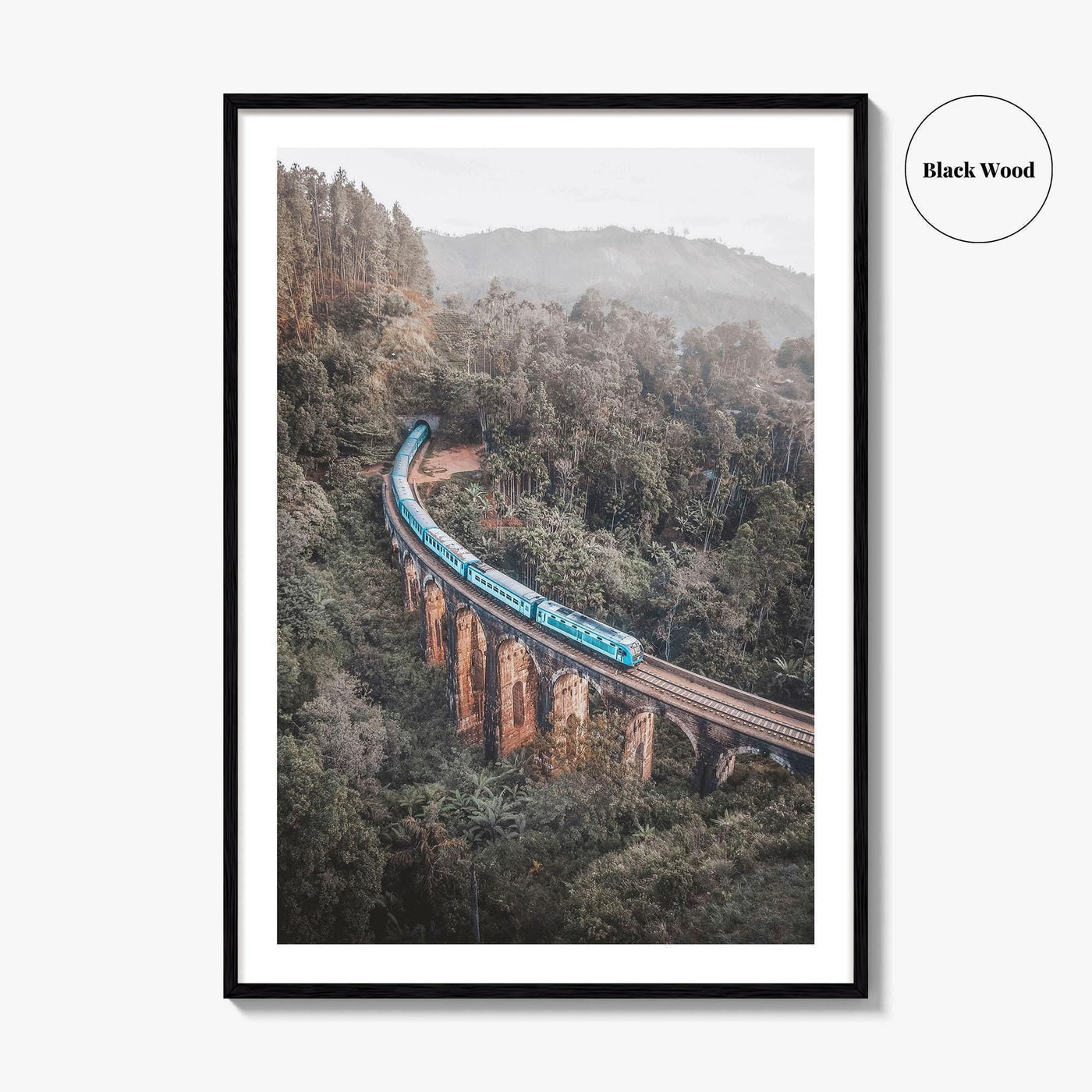 Ella Sri Lanka Fine Art Photo Print, Nine Arch Bridge, Demodara Train Poster