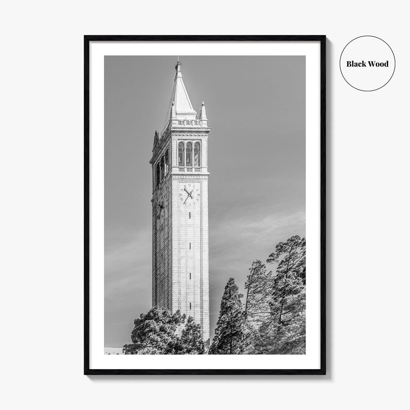 Berkeley Black and White Fine Art Photo Print, Sather Tower Campanile, UC Berkeley, California
