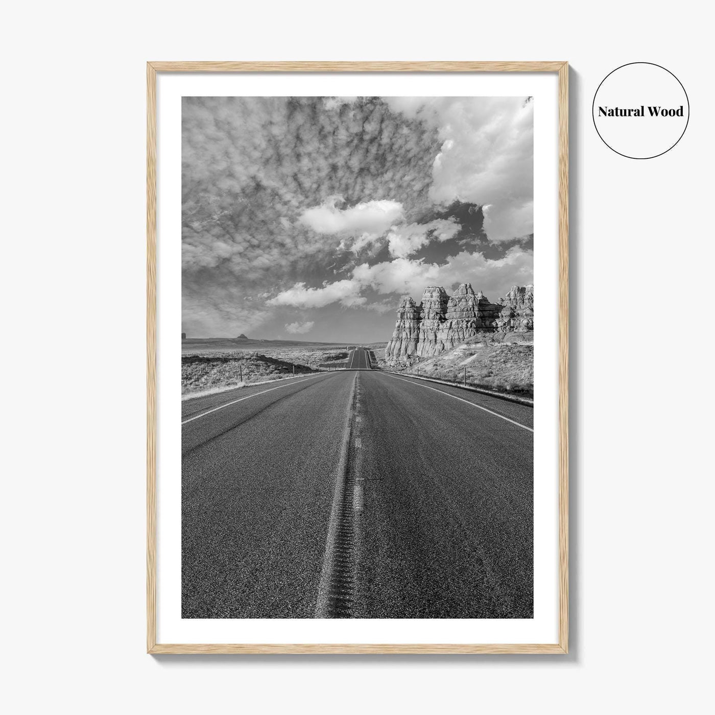 Arizona Desert Black and White Fine Art Photo Print, Southwest USA Poster