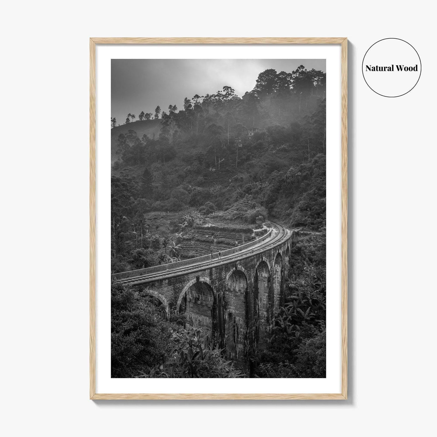 Ella Nine Black and White Fine Art Photo Print, Sri Lanka Demodara Poster