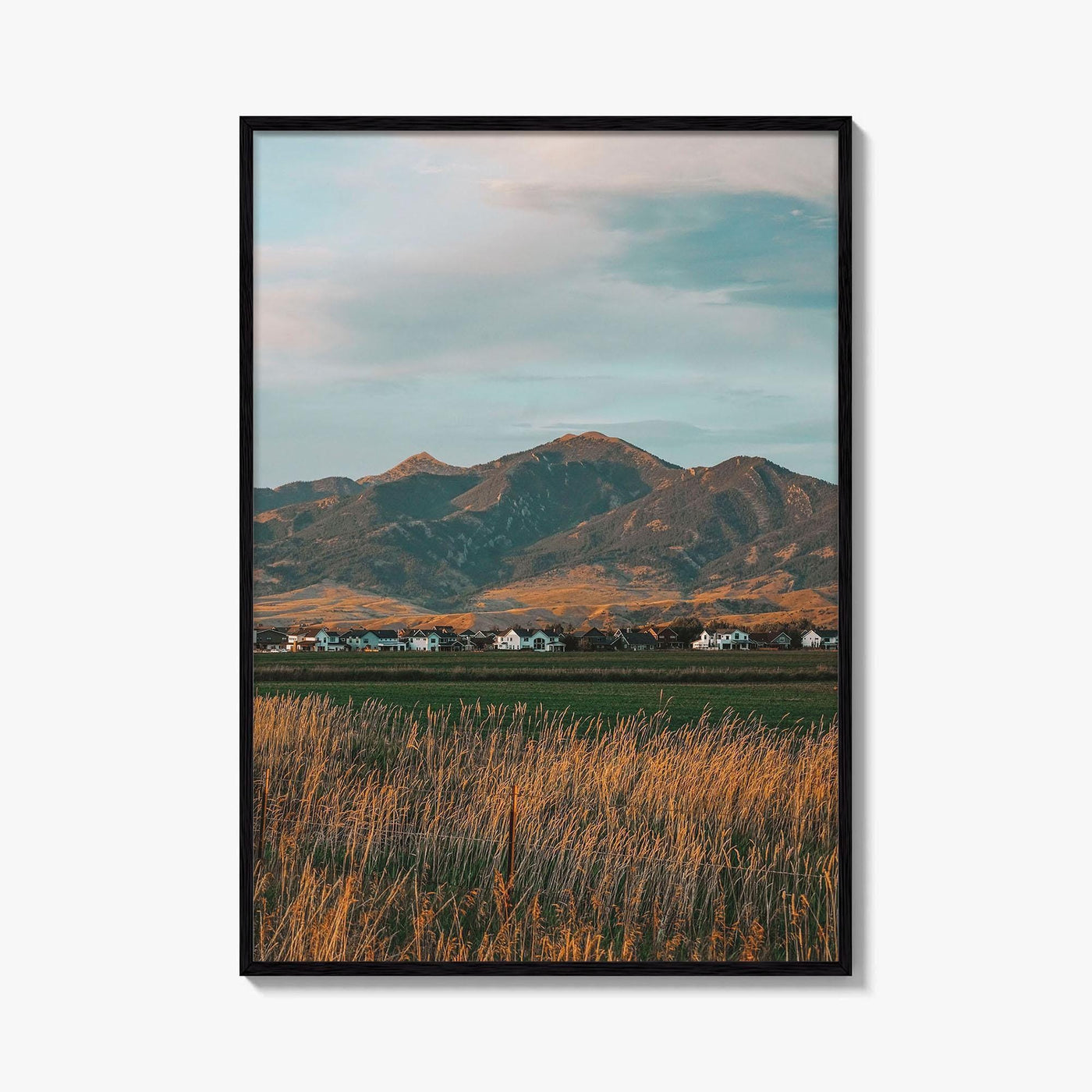 Bozeman Fine Art Photo Print, Montana State University, MT USA Wall Art Poster
