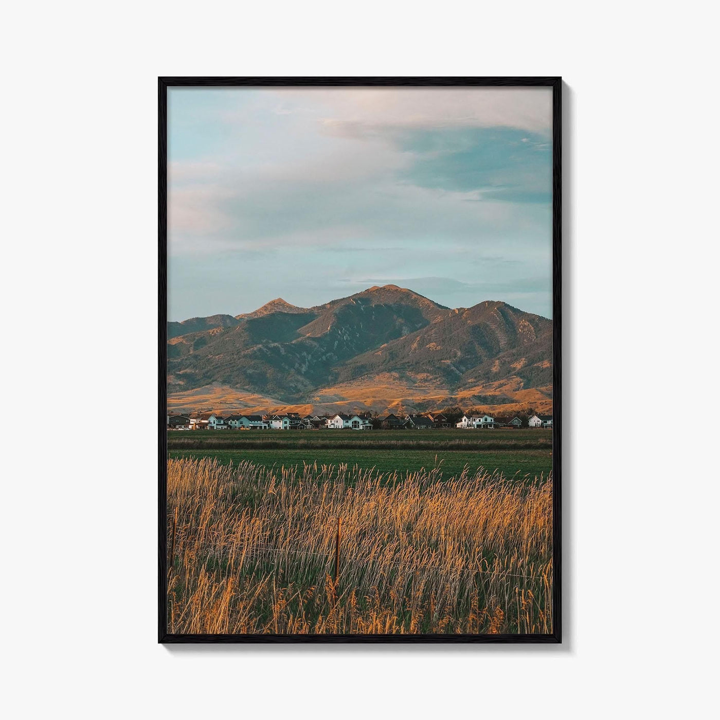 Bozeman Fine Art Photo Print, Montana State University, MT USA Wall Art Poster