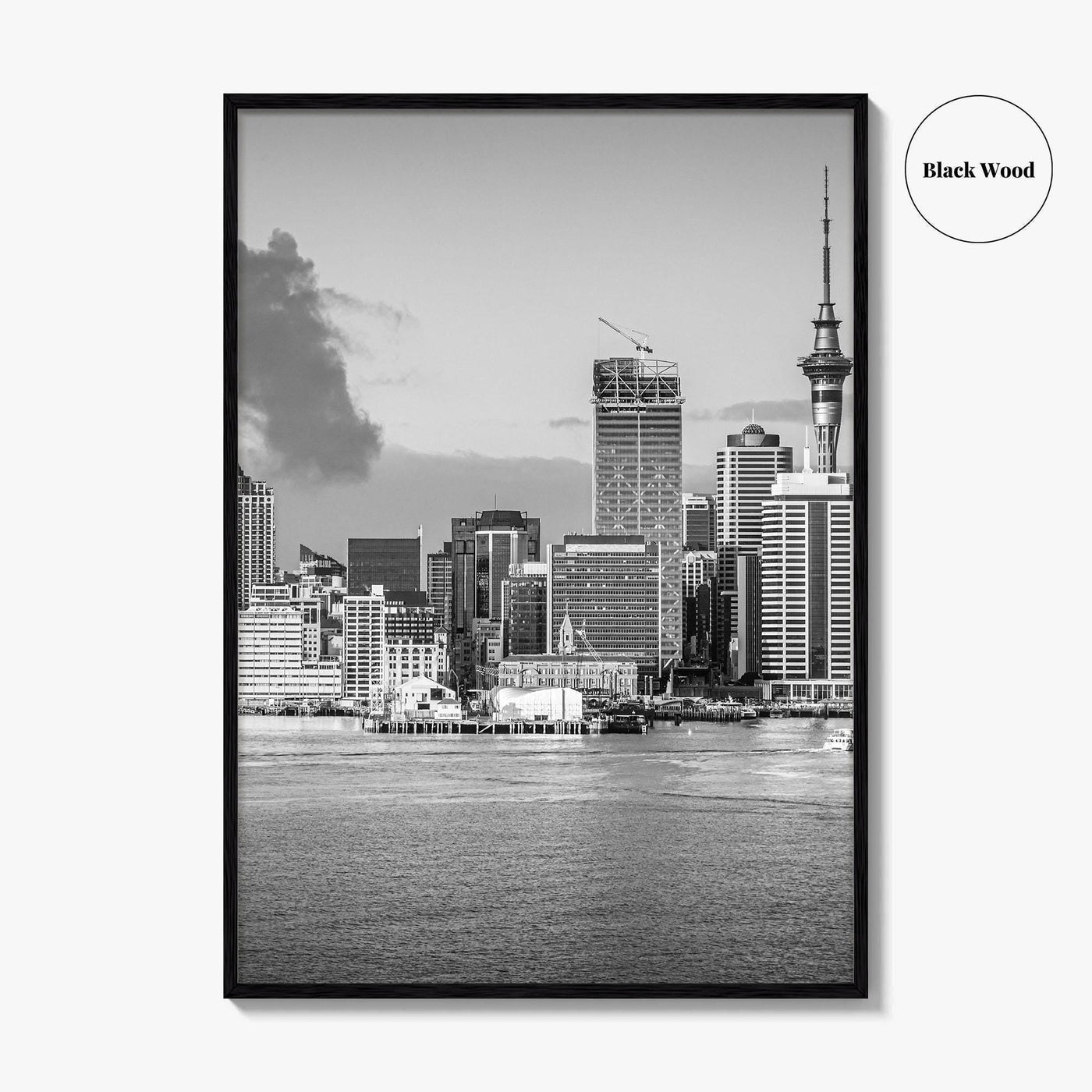Auckland Skyline Black and White Fine Art Photo Print, New Zealand Wall Decor, Poster