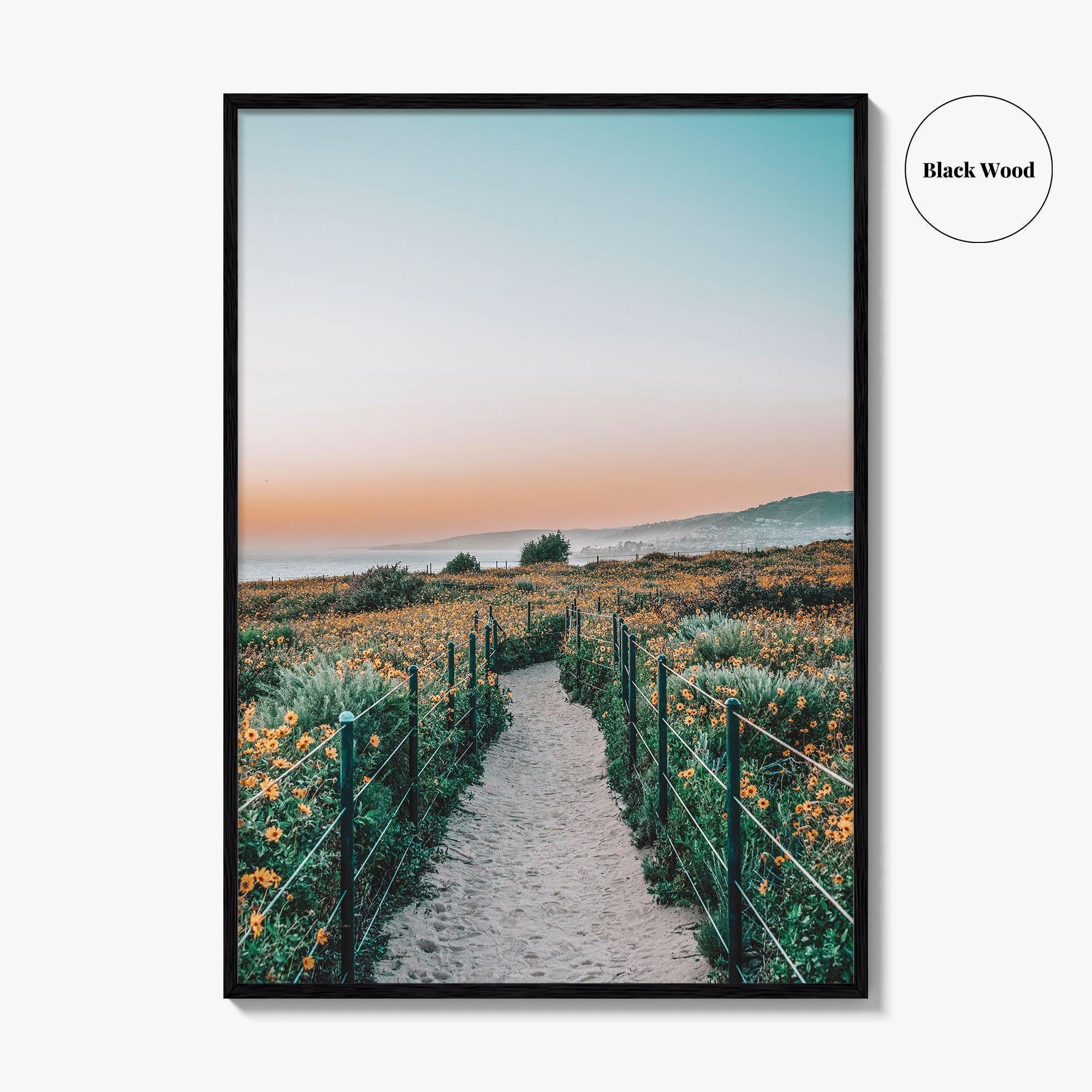 Dana Point Fine Art Photo Print, California Headlands, Orange County Poster
