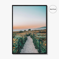 Dana Point Fine Art Photo Print, California Headlands, Orange County Poster