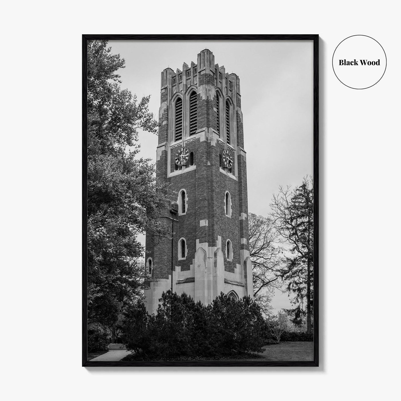 East Lansing Black and White Fine Art Photo Print, Michigan State University Poster