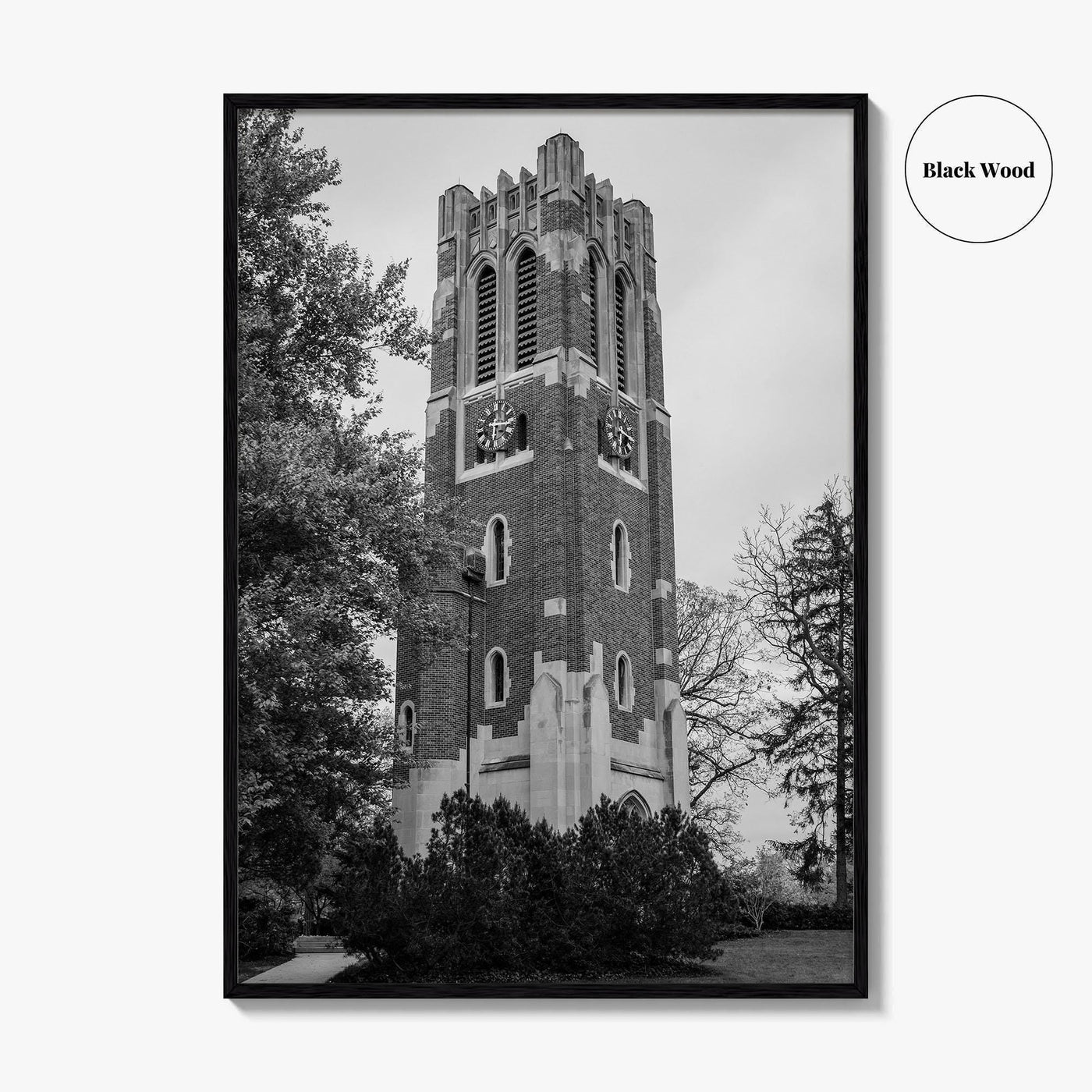 East Lansing Black and White Fine Art Photo Print, Michigan State University Poster