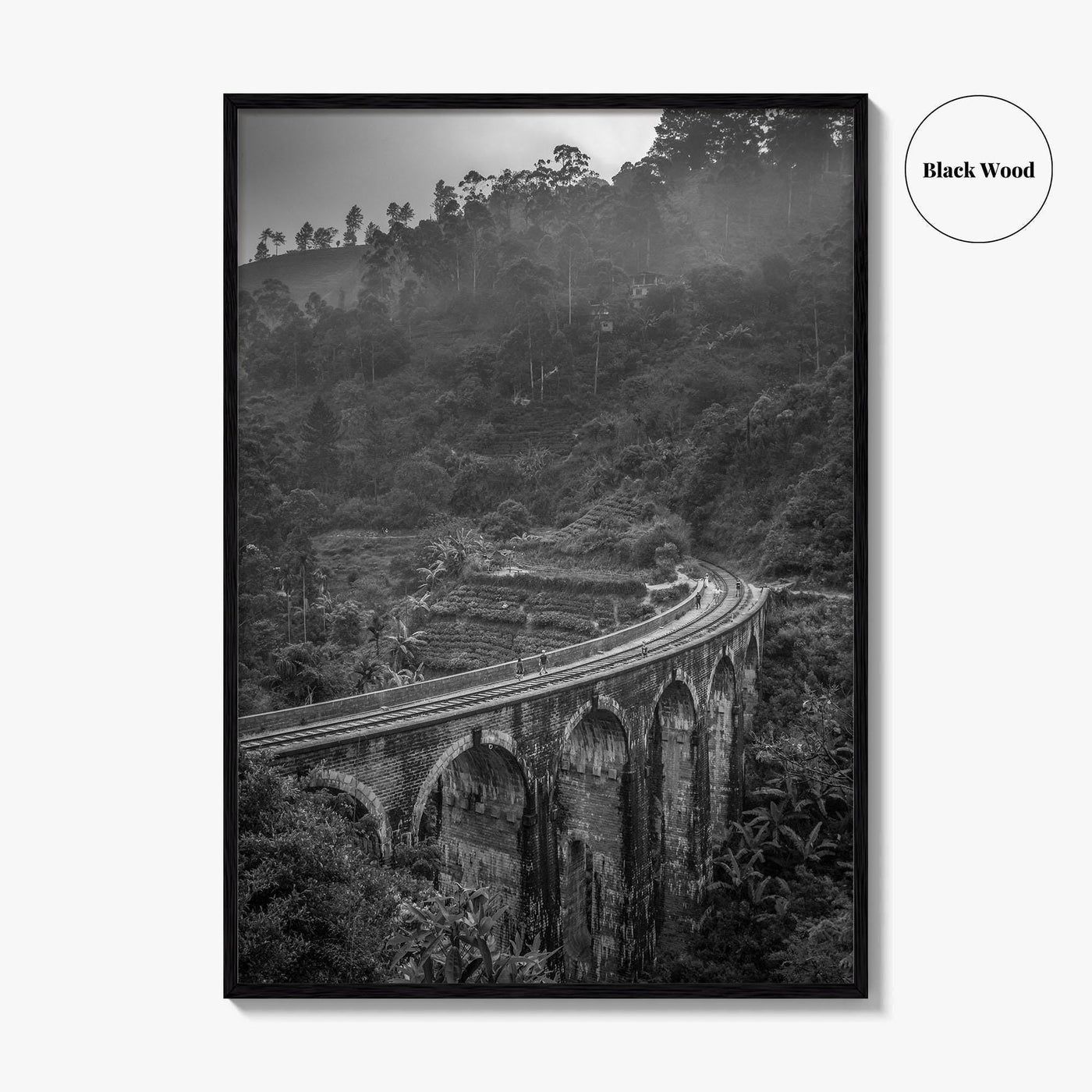Ella Nine Black and White Fine Art Photo Print, Sri Lanka Demodara Poster