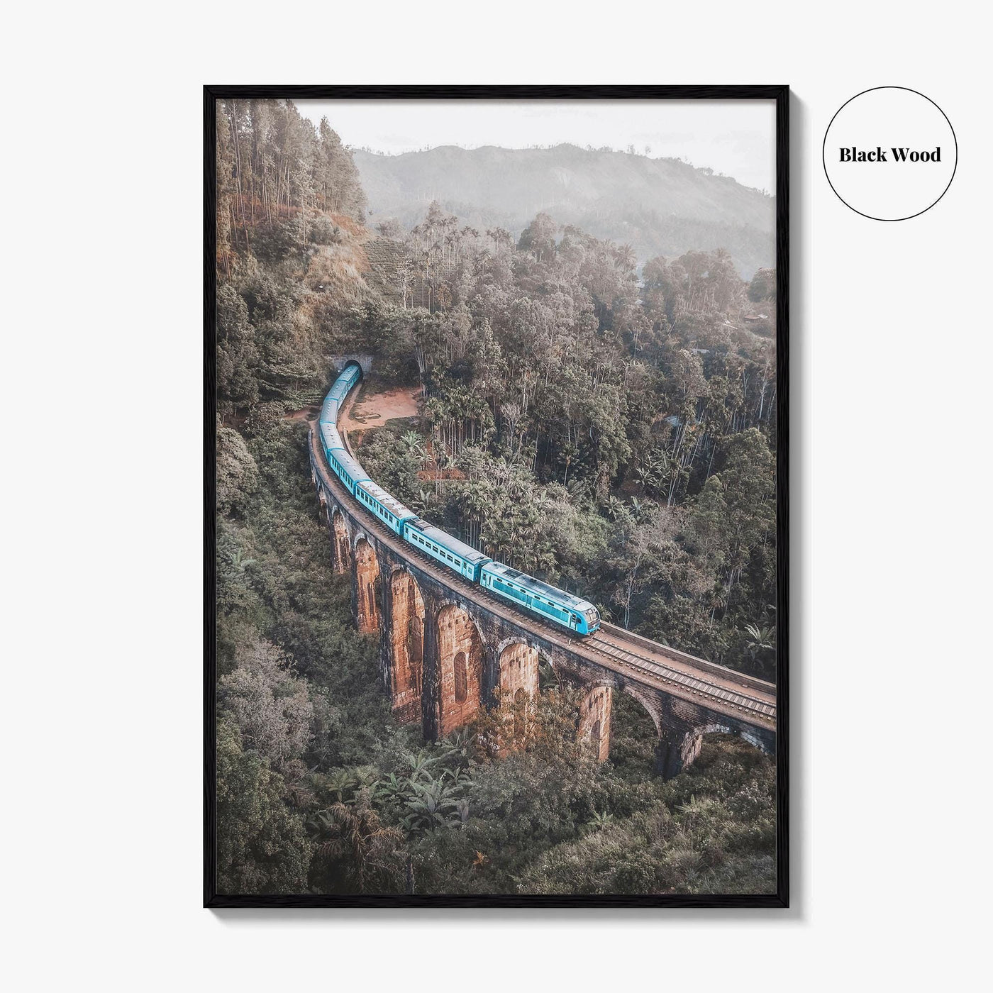 Ella Sri Lanka Fine Art Photo Print, Nine Arch Bridge, Demodara Train Poster