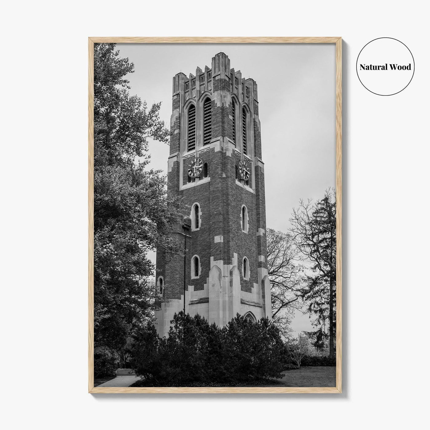 East Lansing Black and White Fine Art Photo Print, Michigan State University Poster