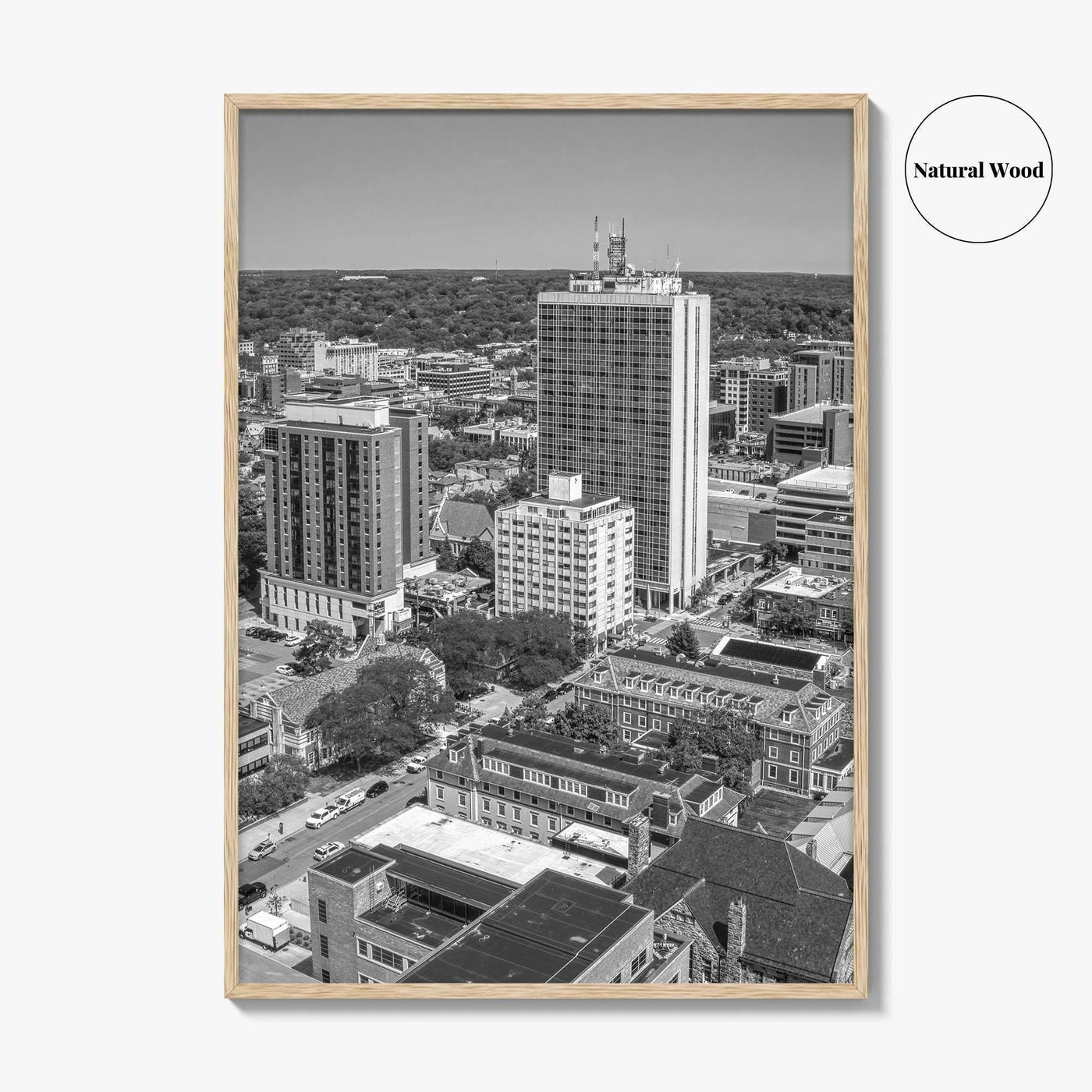 Ann Arbor Skyline Black and White Fine Art Photo Print, Michigan Poster