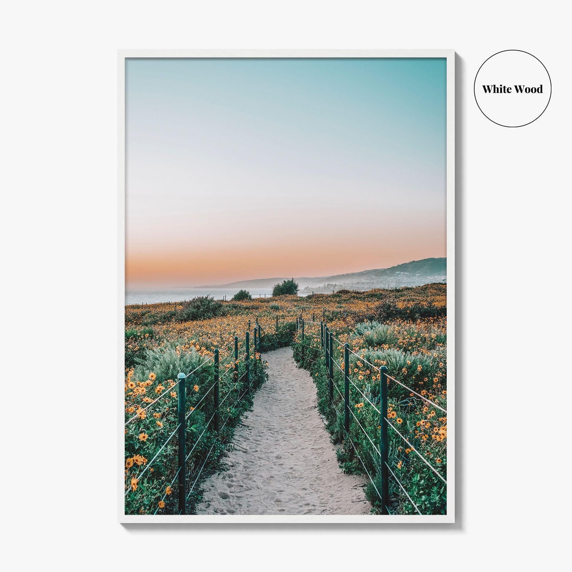 Dana Point Fine Art Photo Print, California Headlands, Orange County Poster